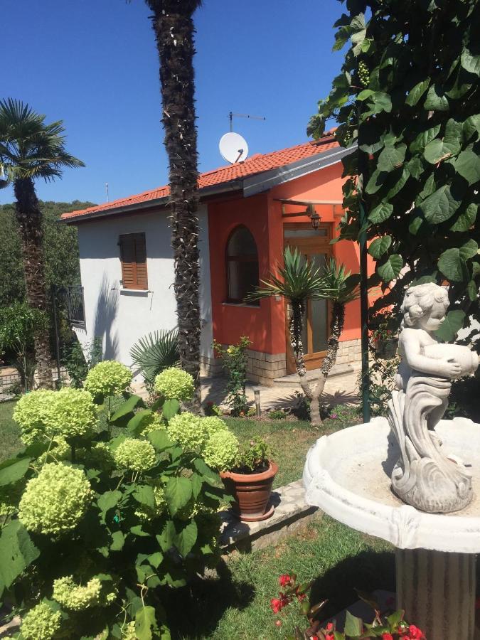 Apartma Joka 487
